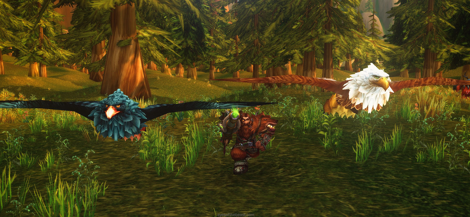 Patch 7.2 Hunter Pet Preview: Feathermanes and Falcosaurs ...